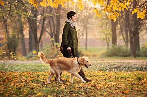 rsz_young_woman_walking_dog_in_fall_folliage