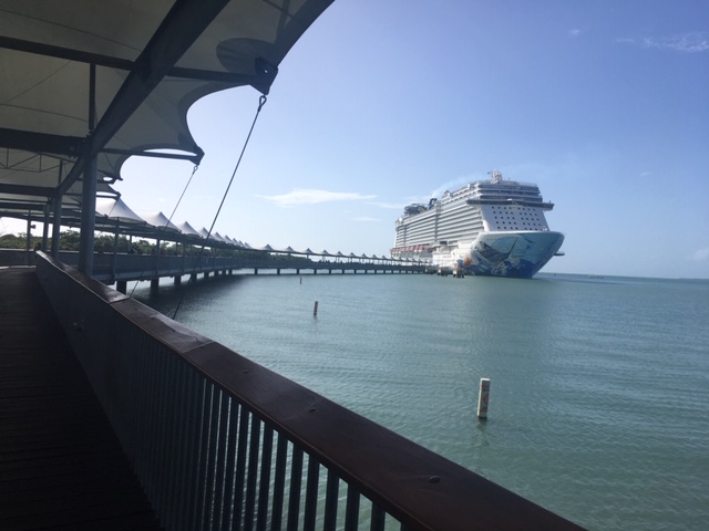 View of docked cruise ship