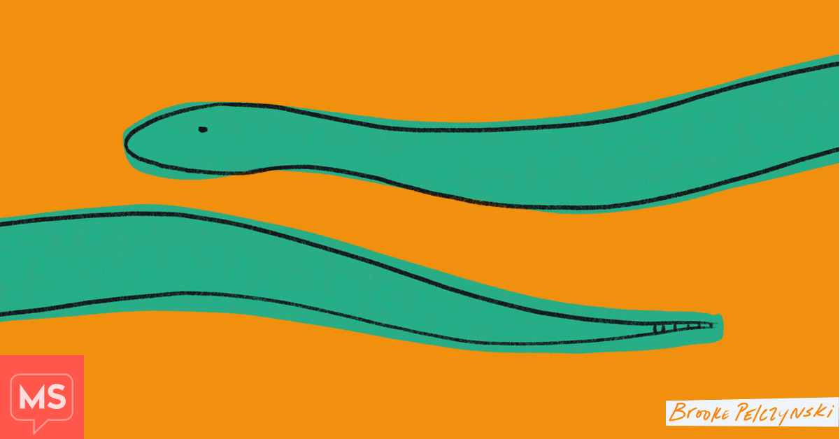 What the MS Hug Feels and Looks Like to Me