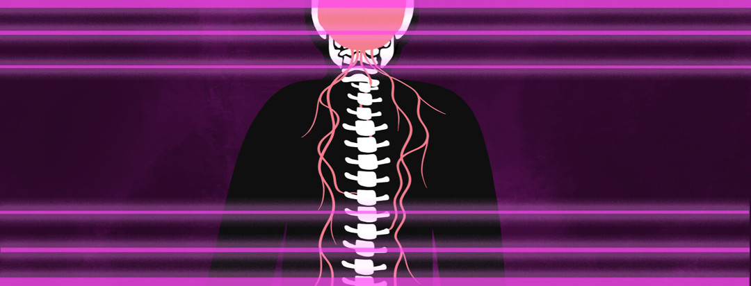 A figure showing a spine connecting to the brain with nerves running down the spine. There are three laser lines on top of the image simulating a scan.