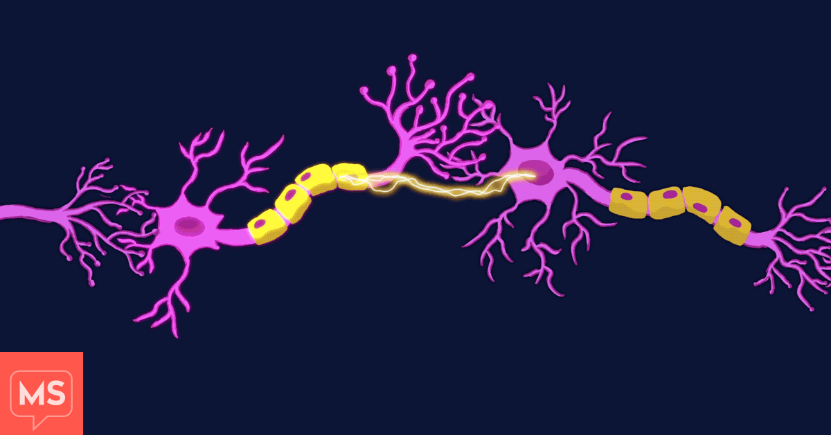 Everything You Need to Know About Nerves | MultipleSclerosis.net