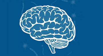 Digital Guide to explain Brain Health
