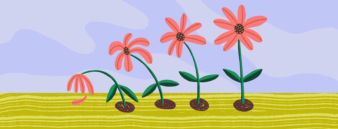 A pink flower goes through four stages, starting with withering and ending with full health