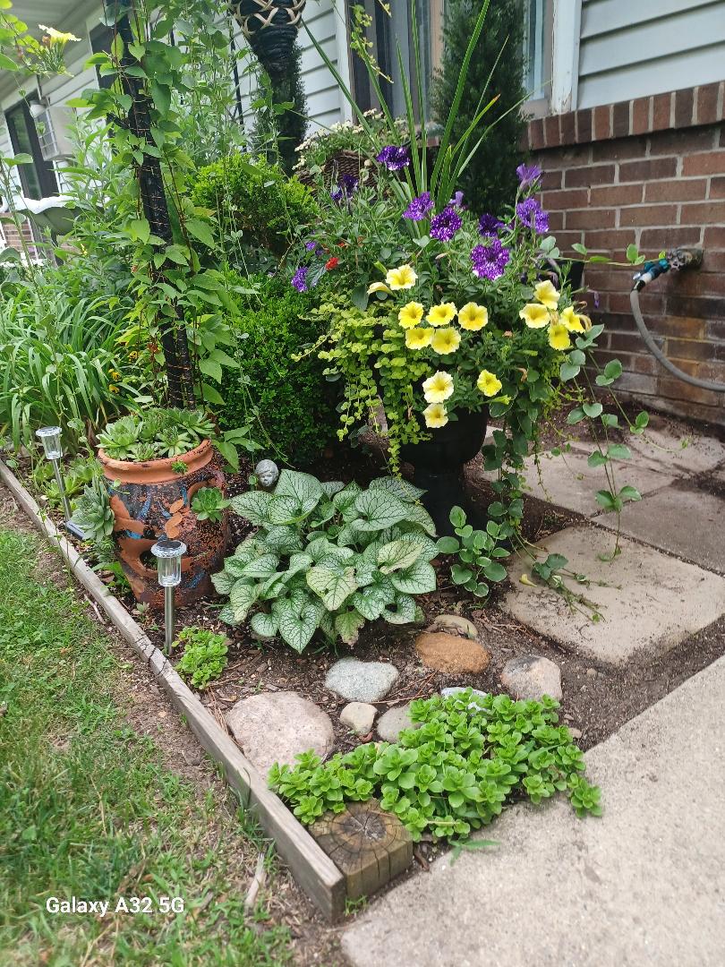Planted pot with annuals, in-ground perennials, and 16 x 16-inch pavers for secure footing.