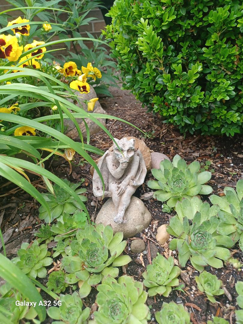 A gargoyle statue sitting on rocks amidst hens and chicks and a daylily.